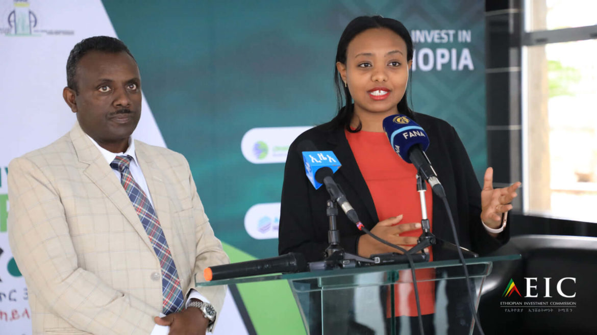 Ethiopian homecoming events Ethiopian Investment Commission